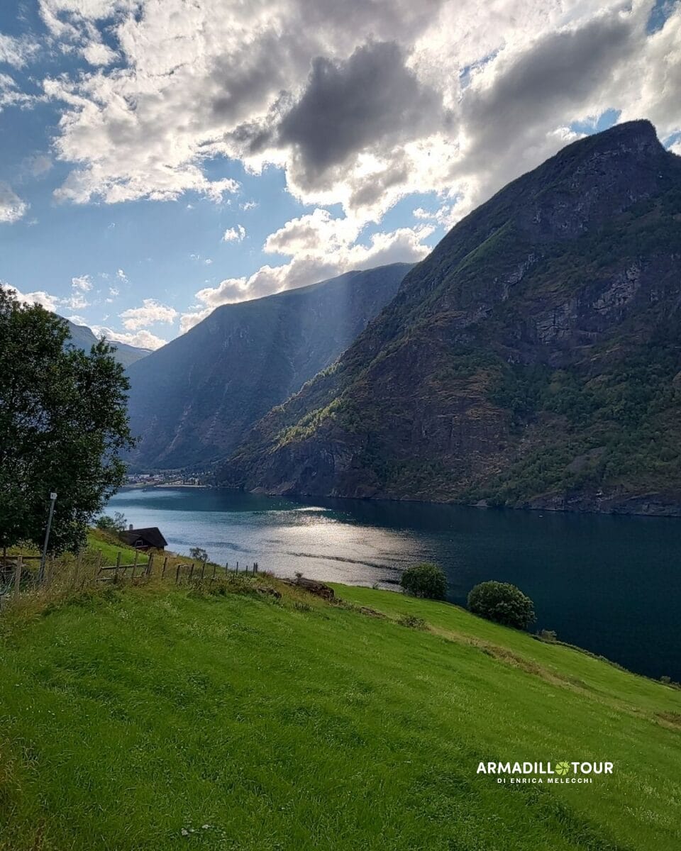 Fiordi norvegesi in treno e battello