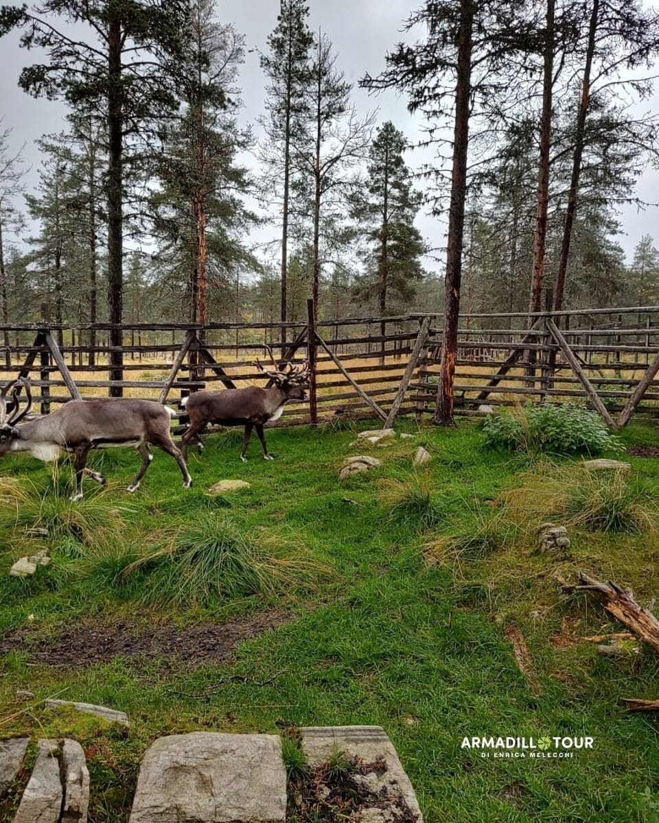 Terre Lapponi, Capo Nord e Lofoten