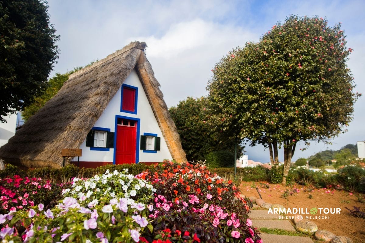 Madeira: i colori del giardino dell’Atlantico tra scogliere e fiori