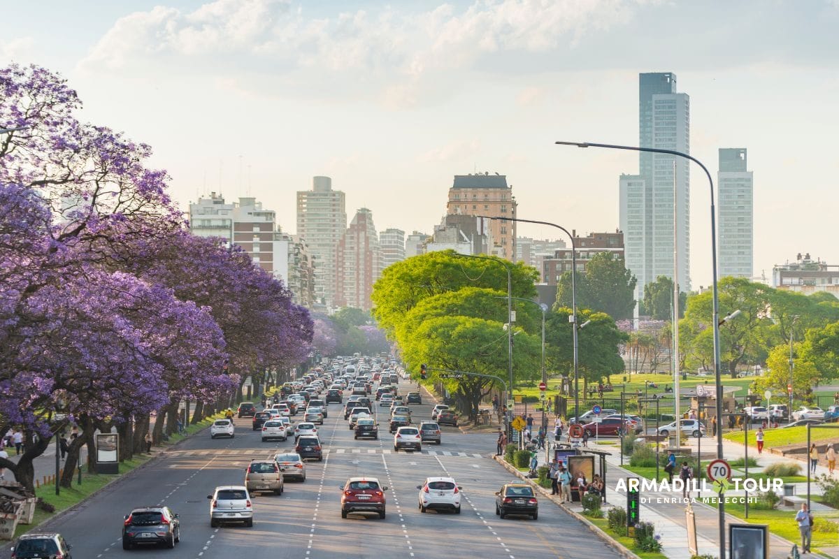 L’incanto selvaggio della Patagonia