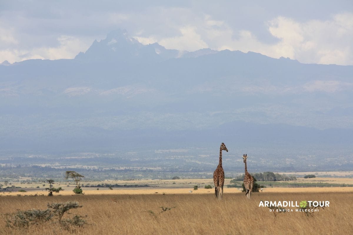 L’essenza del Kenya