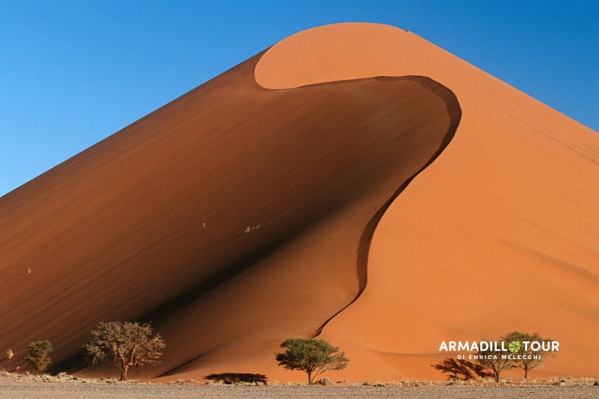 Il meglio della Namibia