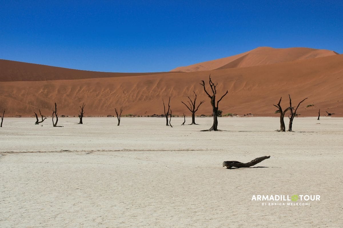 Il meglio della Namibia