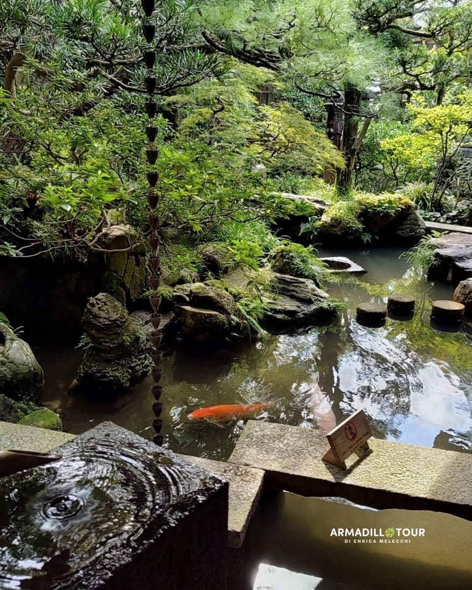 Giappone: dalle Alpi giapponesi all’energia di Tokyo e Kyoto