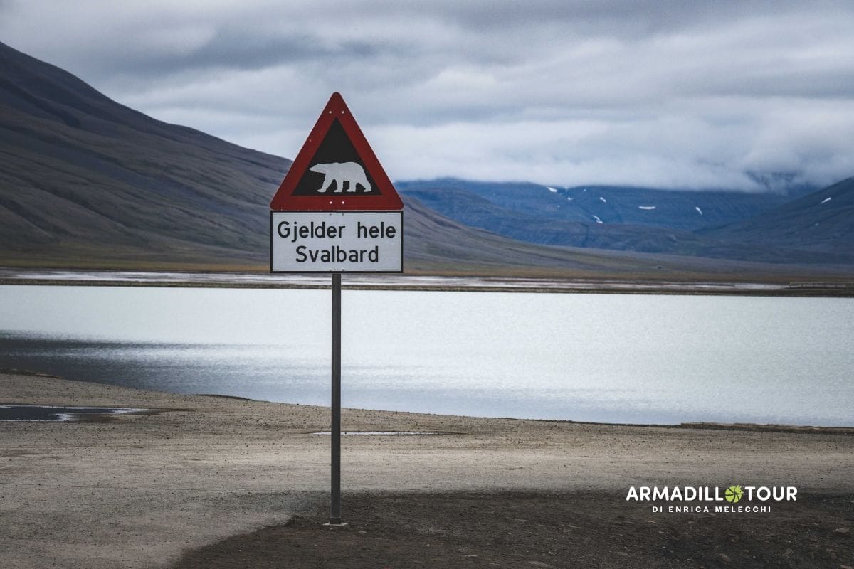Svalbard: oltre l’ottantesimo parallelo