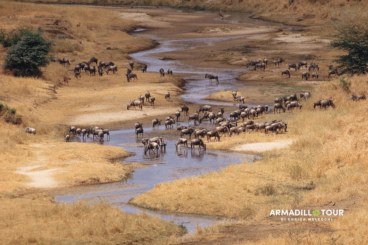 Il meglio della Tanzania
