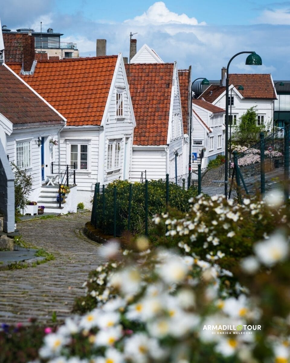Fiordi e Preikestolen