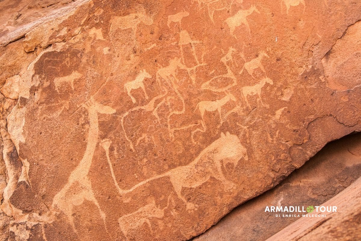 Il meglio della Namibia