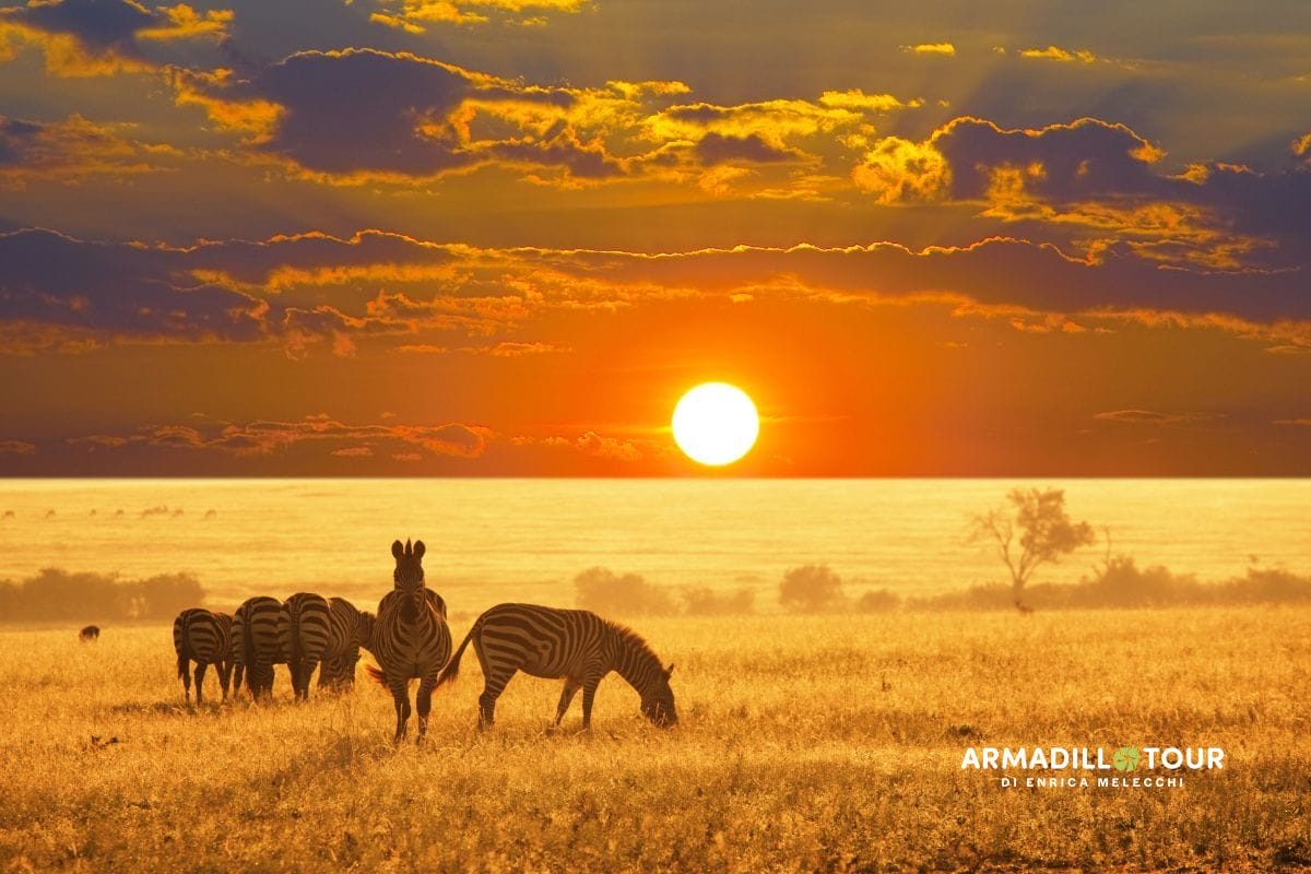 Il meglio della Namibia