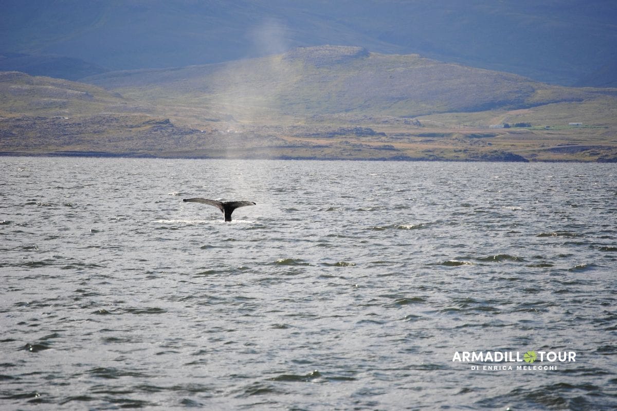 Islanda on the road 14 giorni