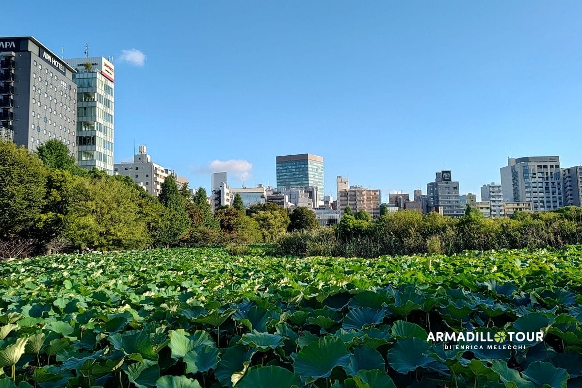 Giappone: Hiroshima, l’isola sacra di Miyajima fino alle città iconiche