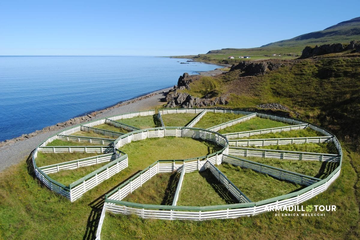 Islanda on the road 14 giorni