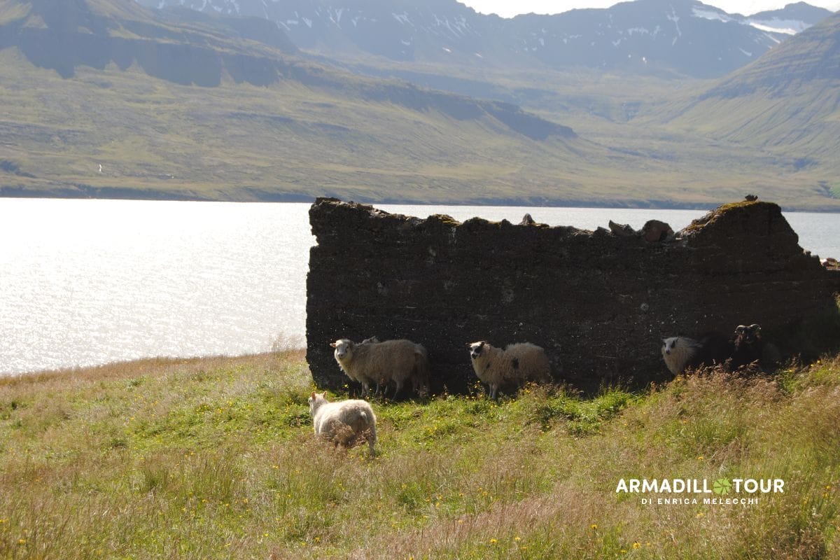 Islanda on the road 14 giorni