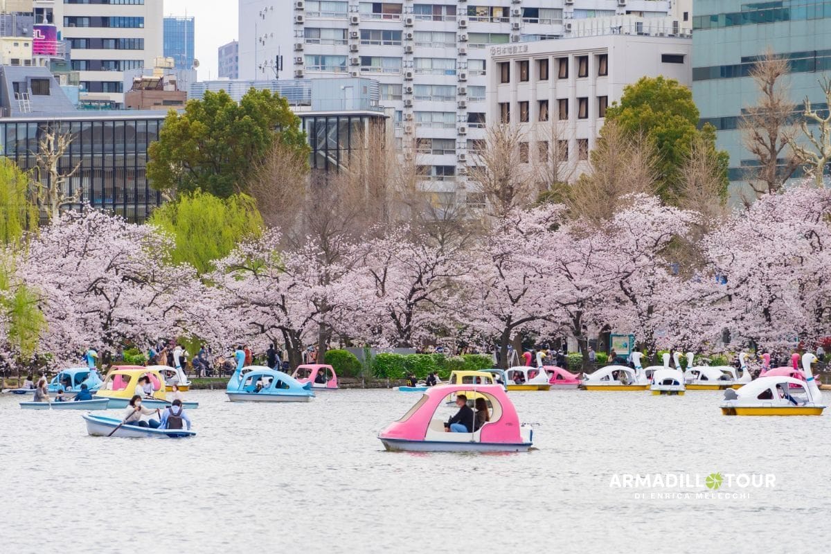 Giappone: Hiroshima, l’isola sacra di Miyajima fino alle città iconiche