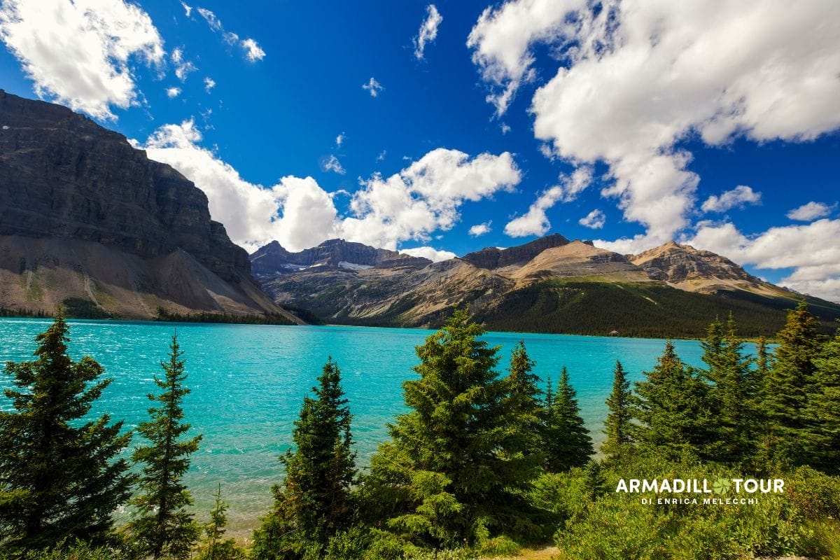 Canada: il  selvaggio OVEST