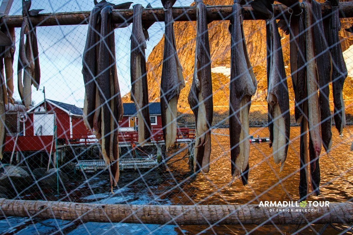 Lofoten&Vesteralen on the road