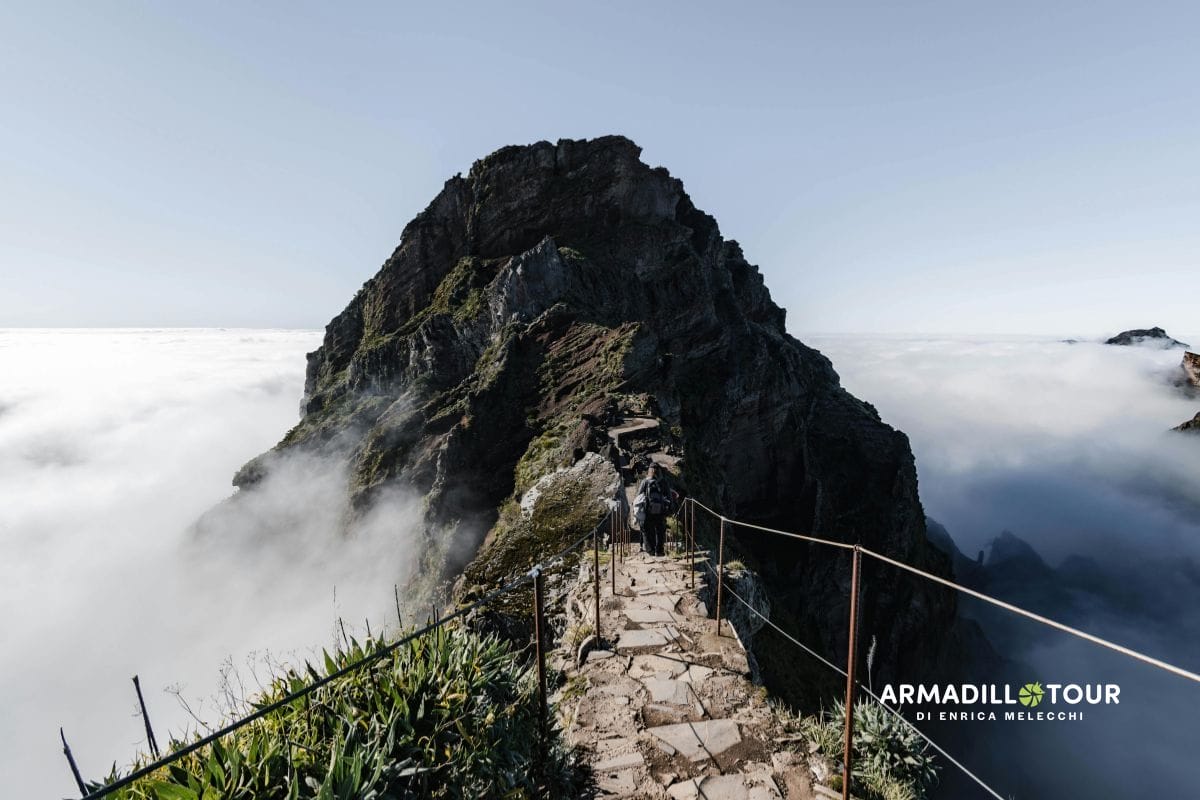 Madeira: i colori del giardino dell’Atlantico tra scogliere e fiori
