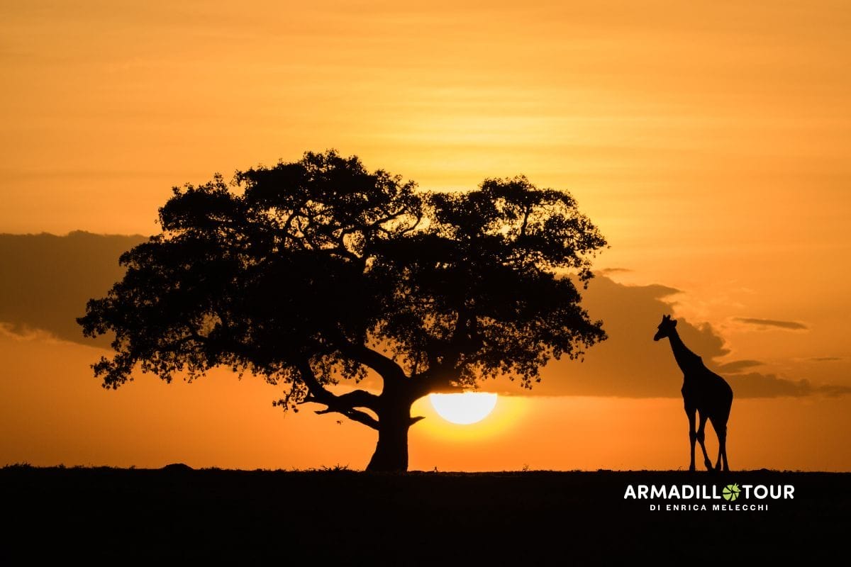 Il meglio della Tanzania