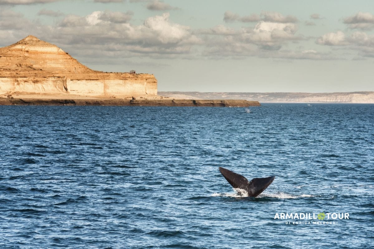 L’incanto selvaggio della Patagonia