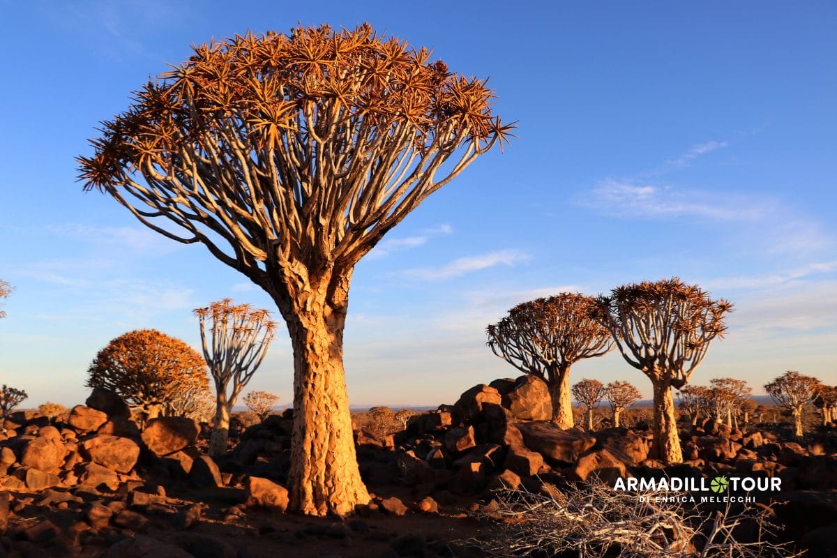 Il meglio della Namibia