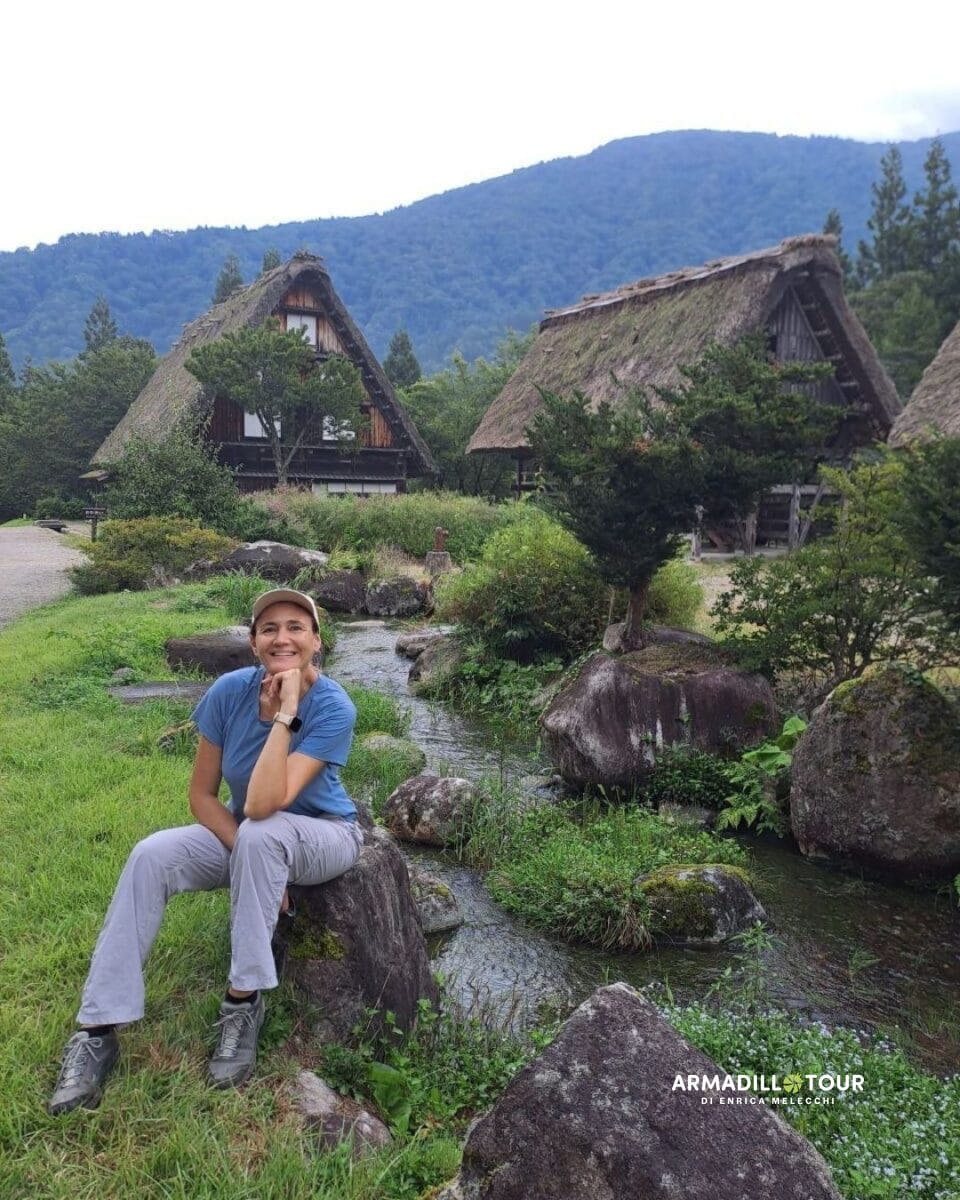 Giappone: dalle Alpi giapponesi all’energia di Tokyo e Kyoto