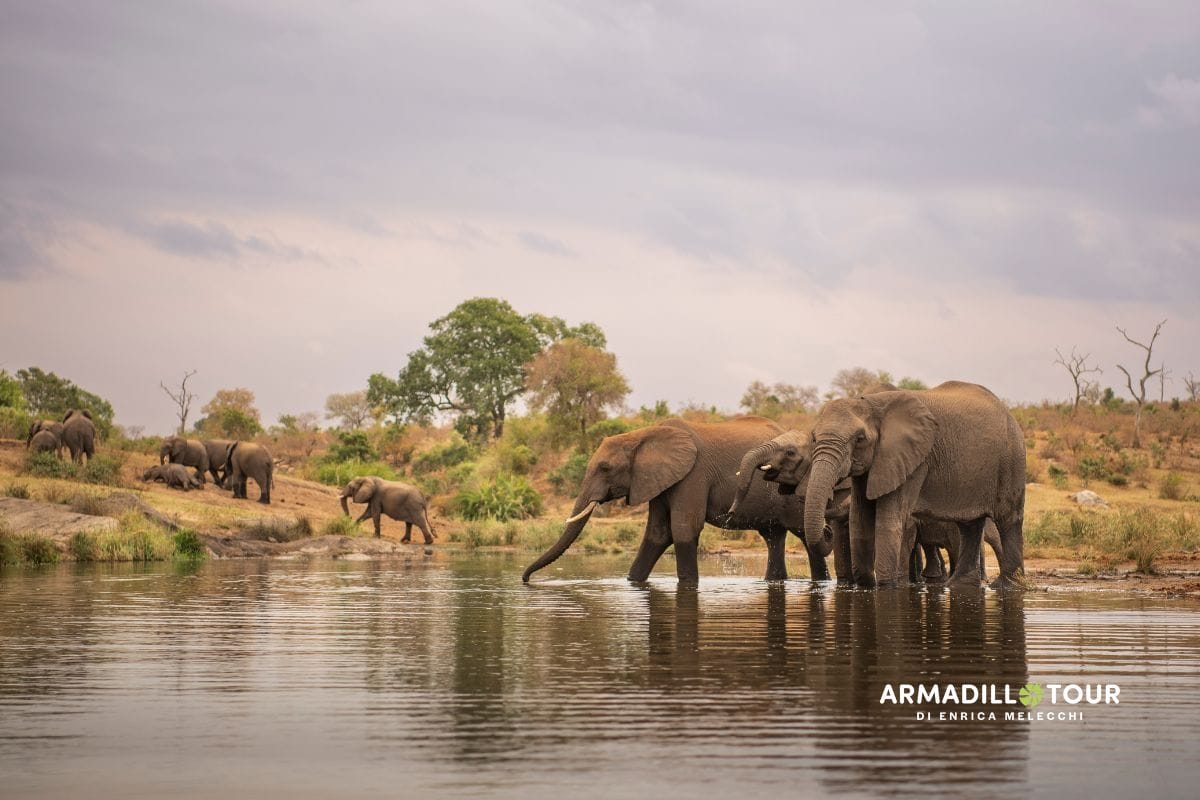 Sudafrica: Strade panoramiche e safari