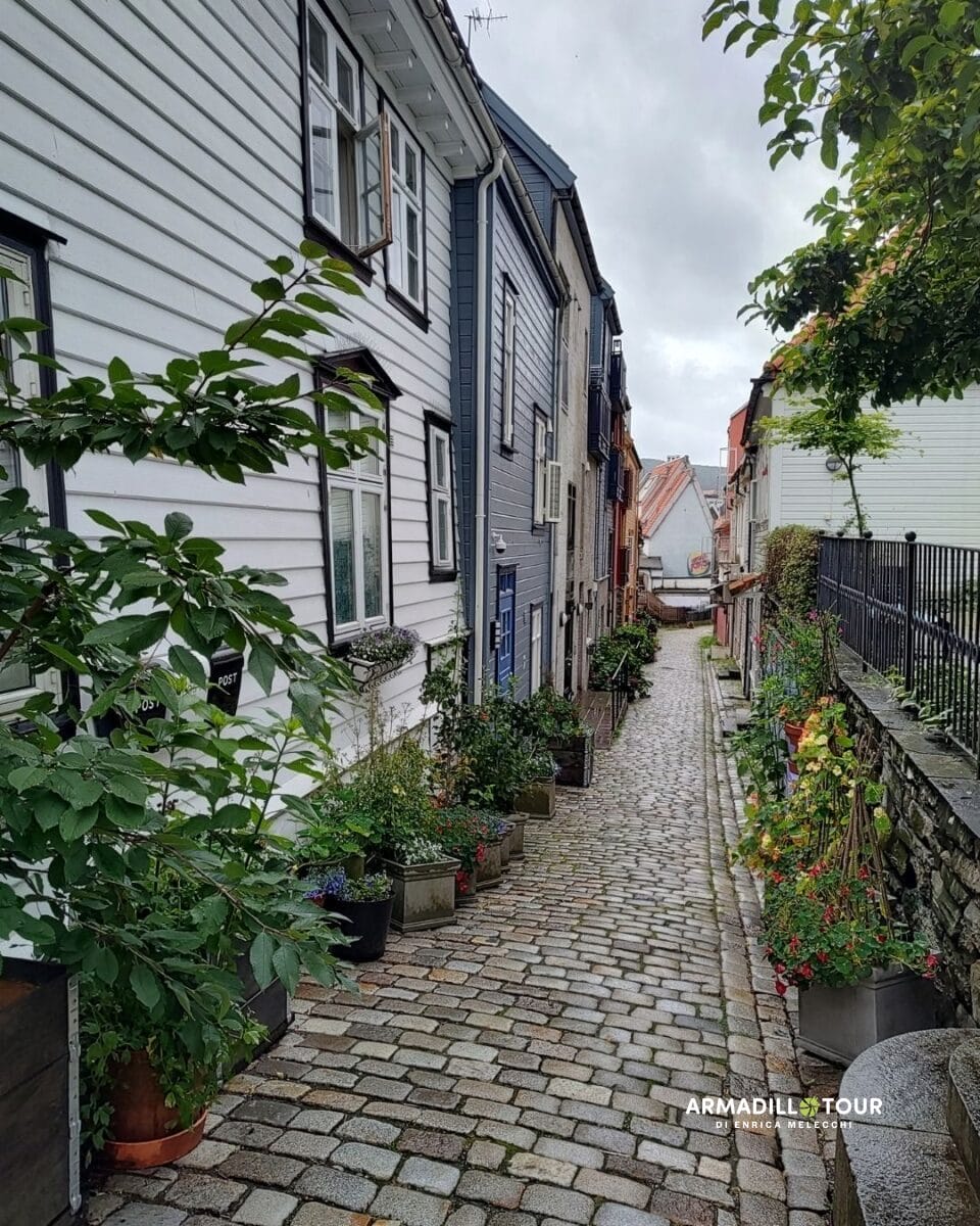 Fiordi norvegesi in treno e battello