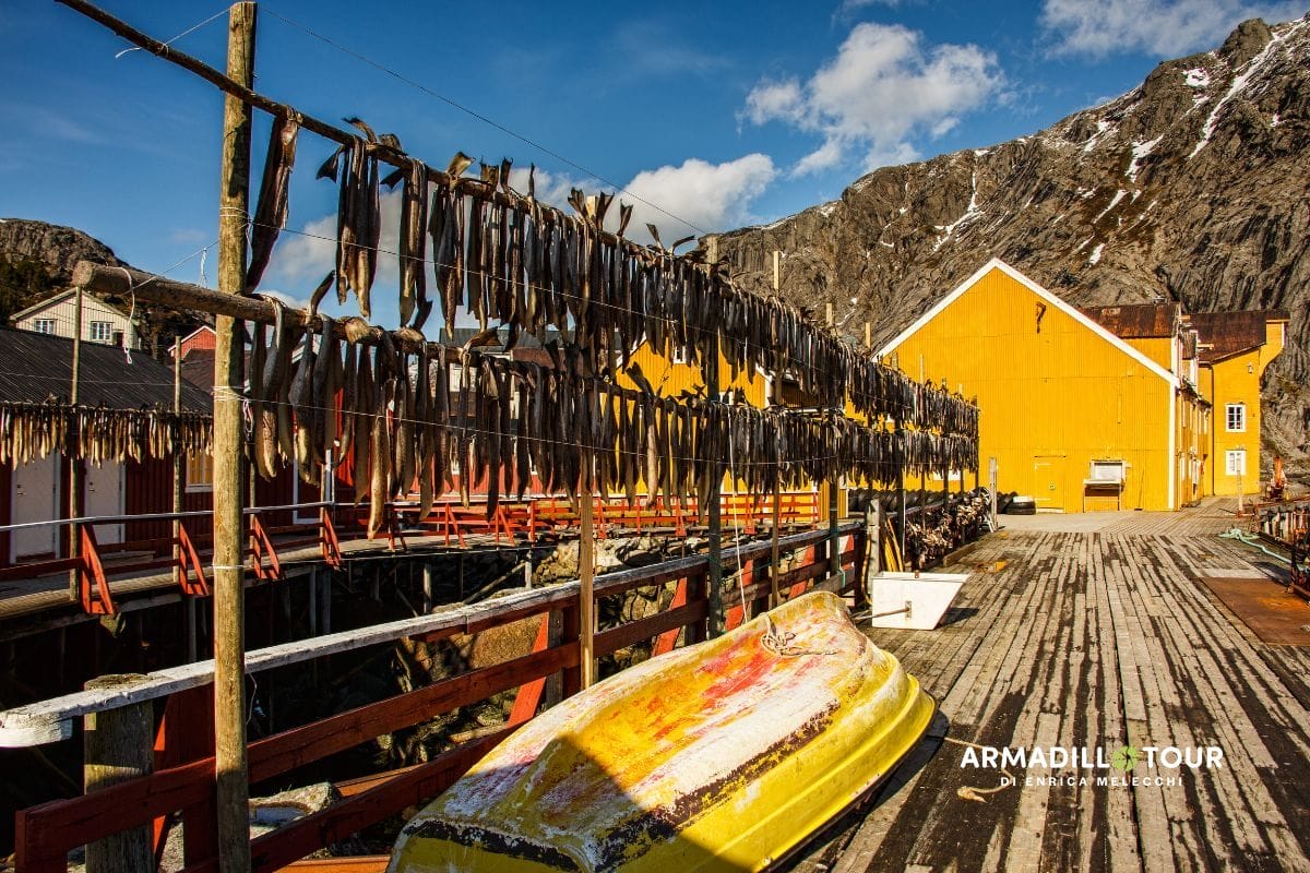 Lofoten&Vesteralen on the road