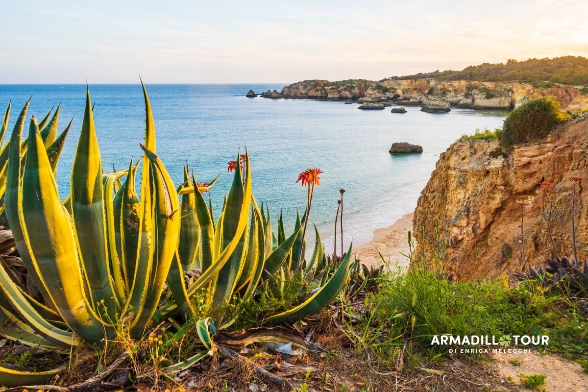 Scopri l’Algarve!