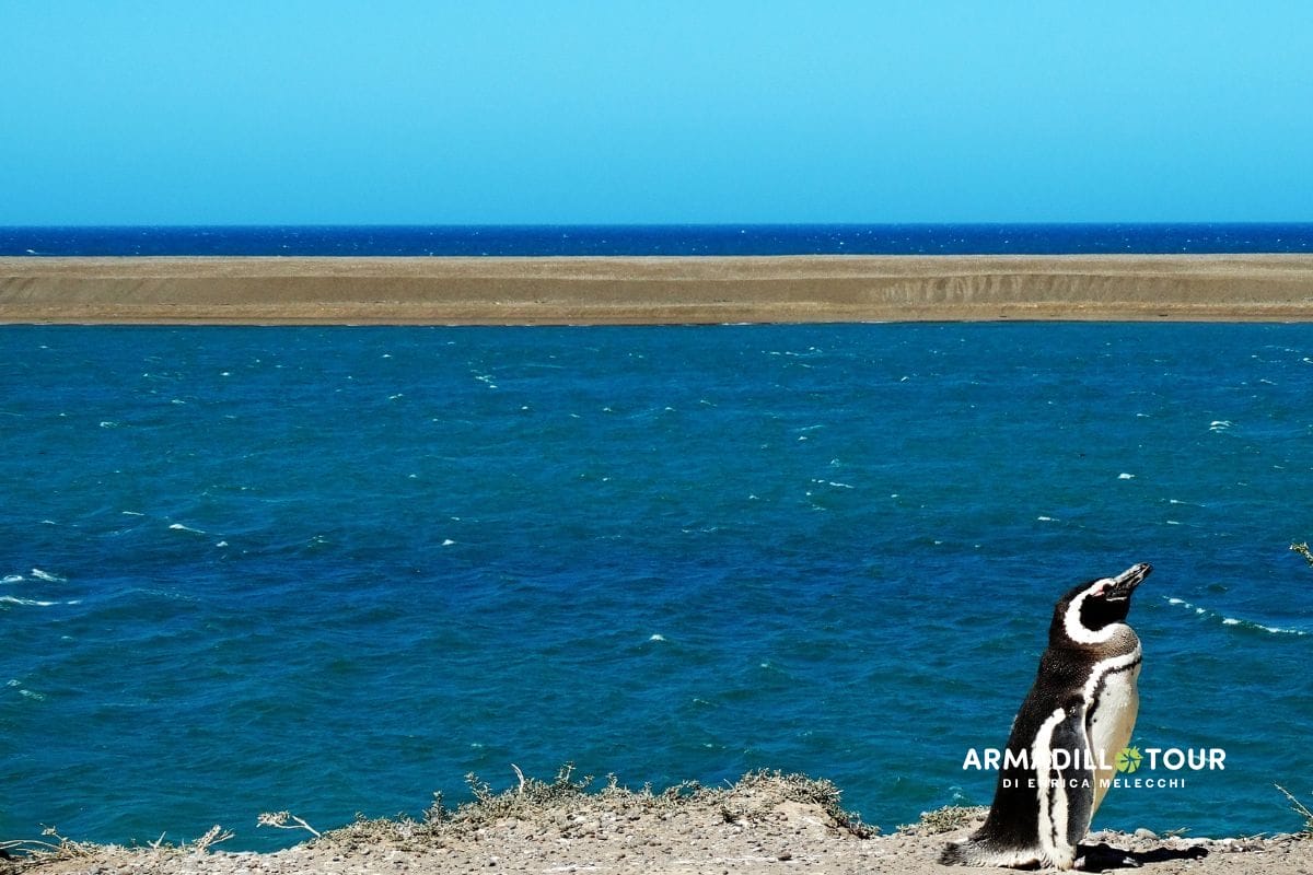 L’incanto selvaggio della Patagonia