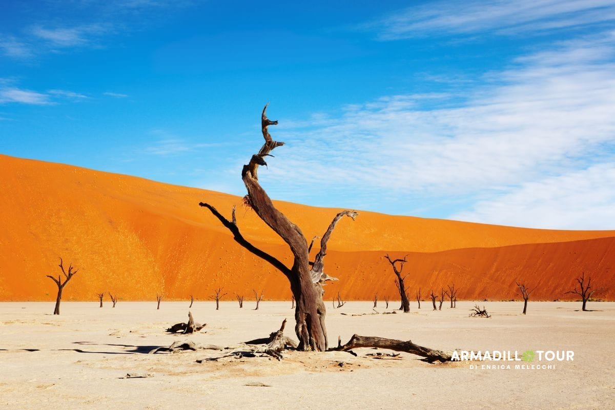 Il meglio della Namibia