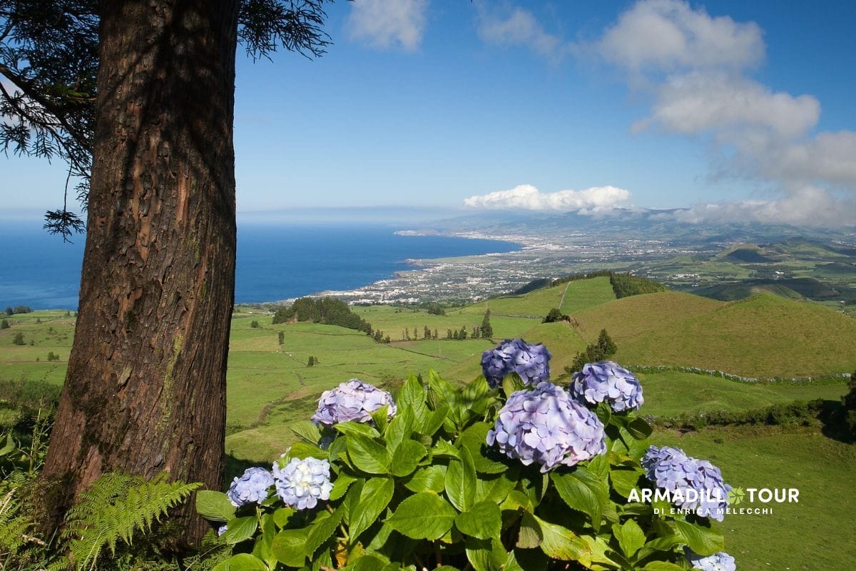 Azzorre: Sinfonia di vulcani e oceano tra quattro isole magiche