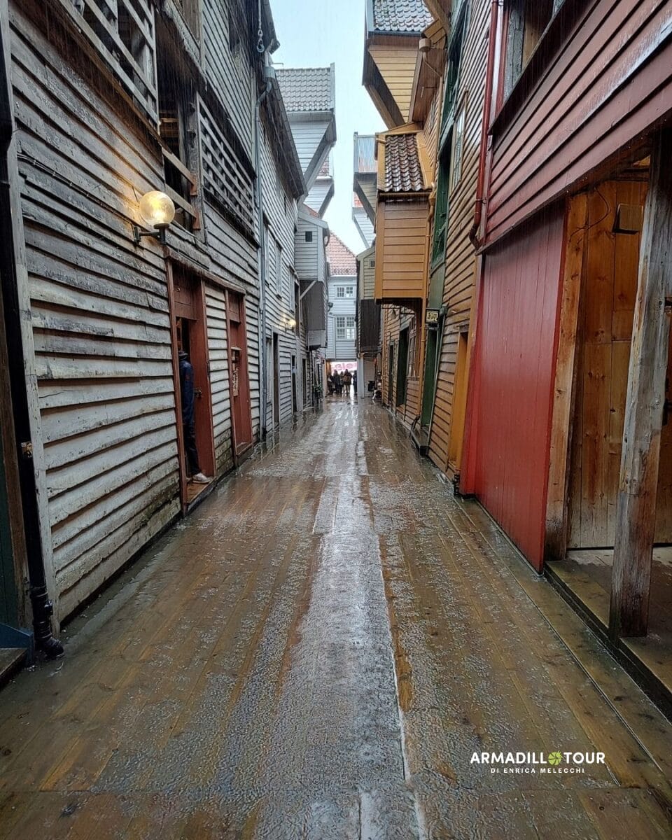 Fiordi norvegesi in treno e battello