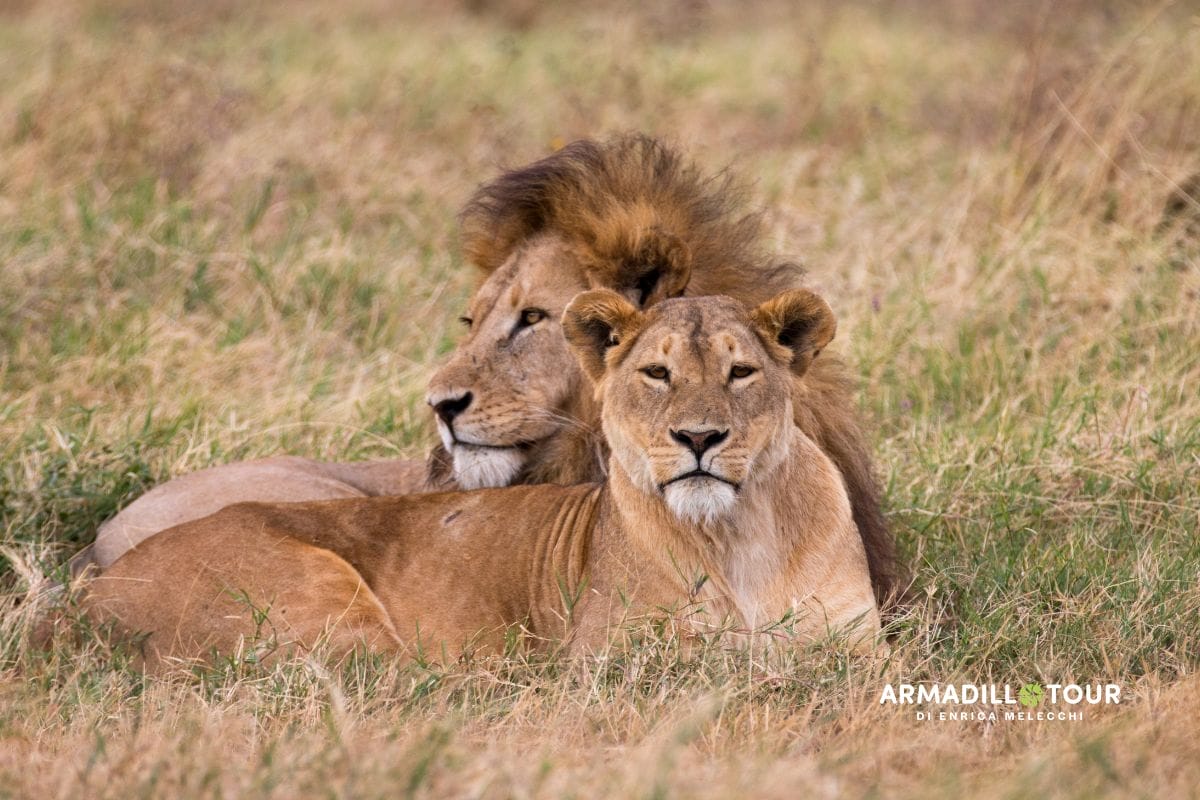 L’essenza del Kenya