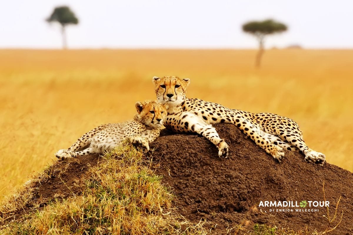 L’essenza del Kenya