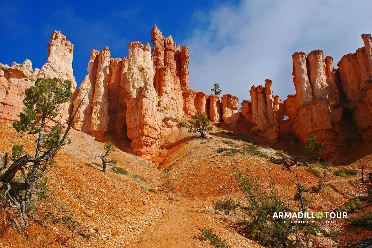 Usa on the road: le icone del WEST