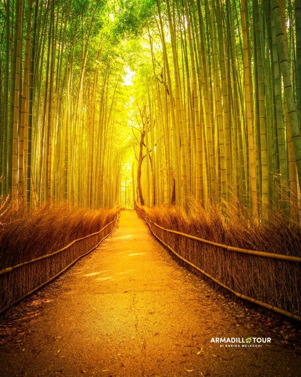 Giappone: Hiroshima, l’isola sacra di Miyajima fino alle città iconiche