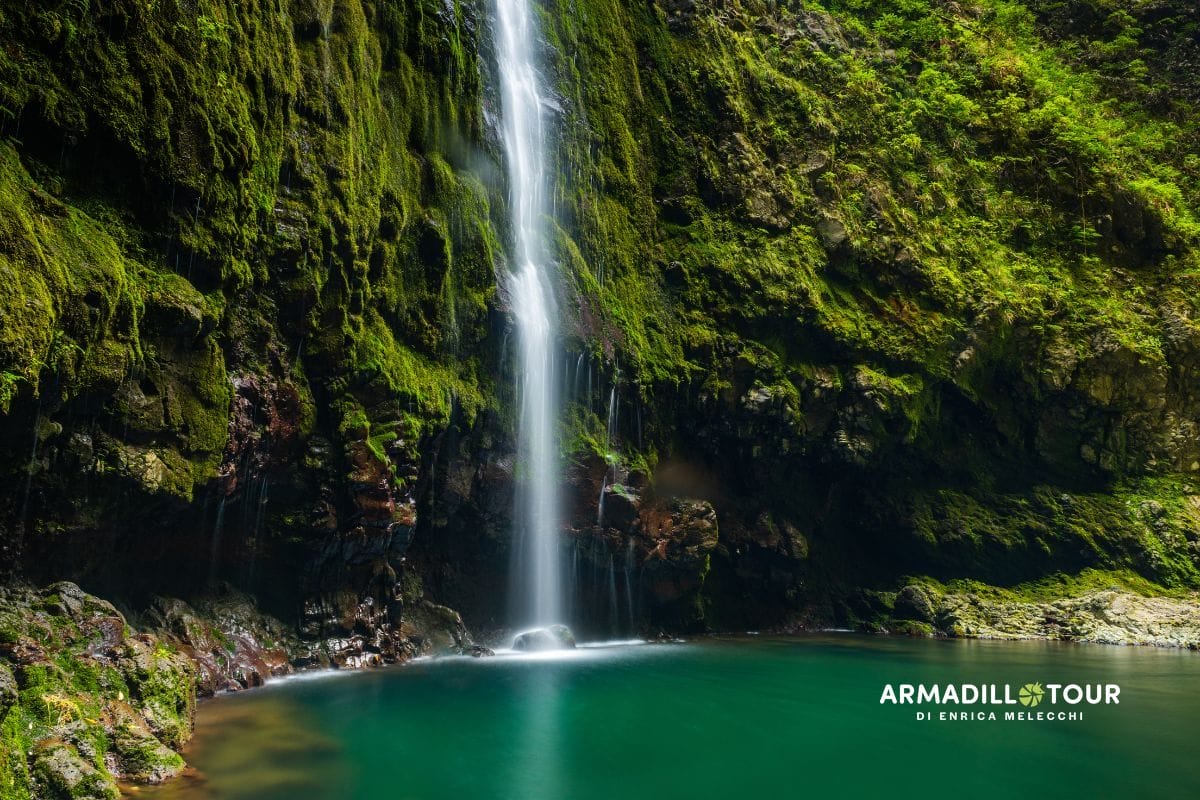Madeira: i colori del giardino dell’Atlantico tra scogliere e fiori