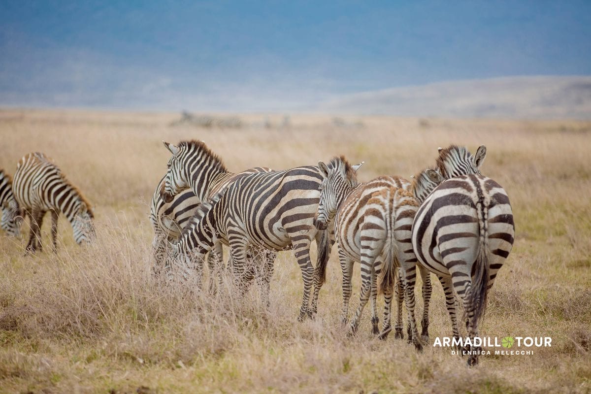 L’essenza del Kenya