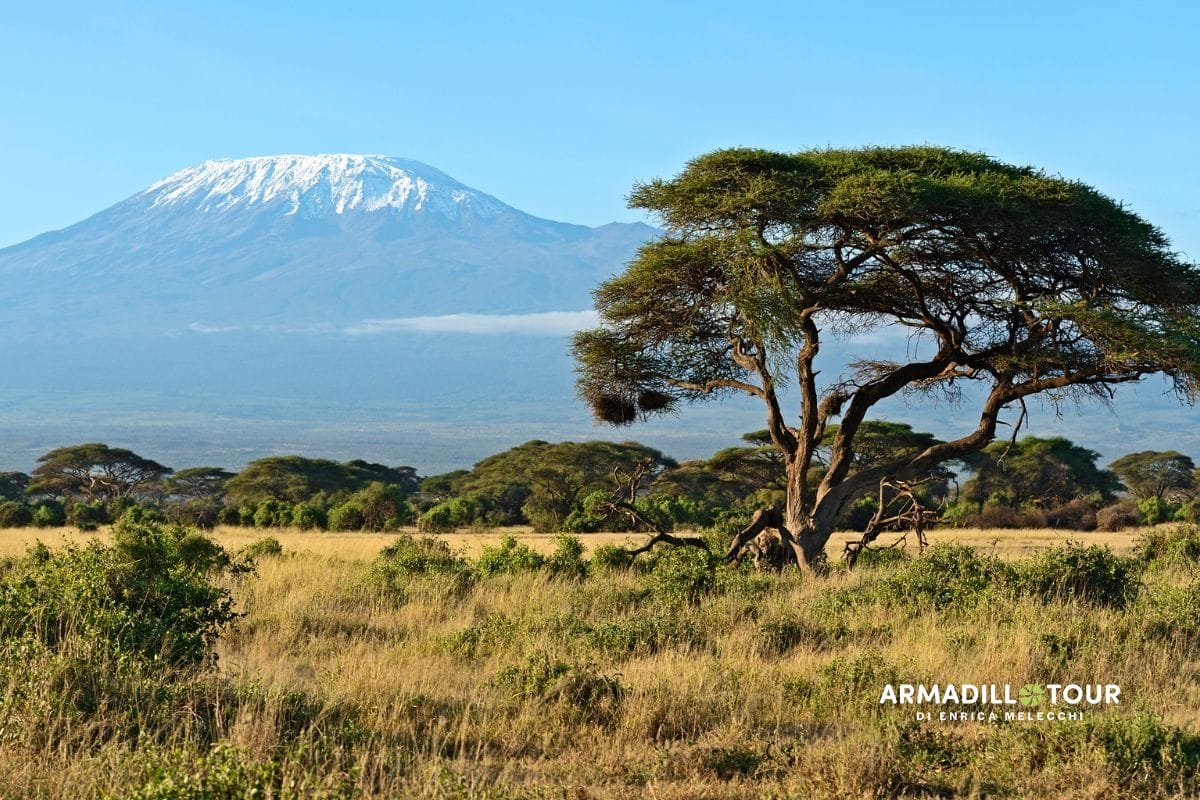 Full safari: dal Kenya alla Tanzania