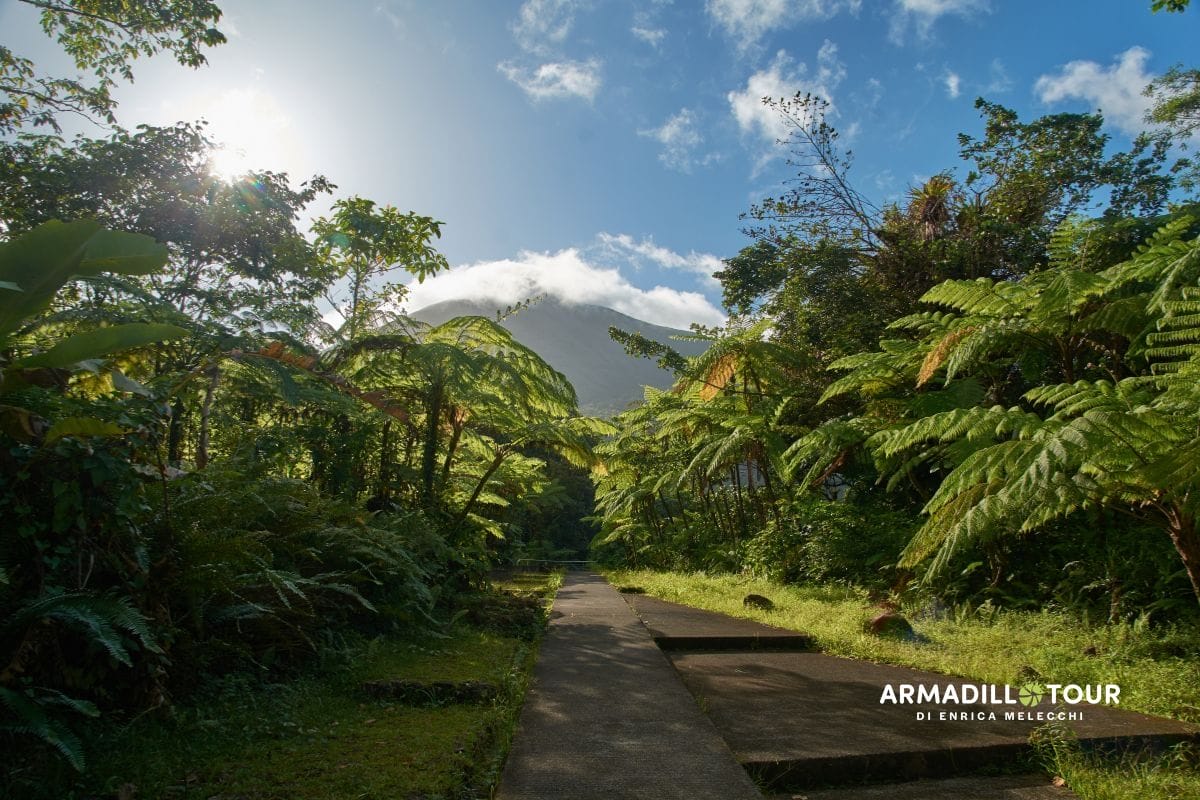 Guadalupa e Martinica: l’abbraccio caldo delle Piccole Antille