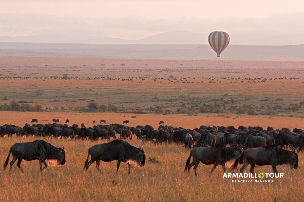 L’essenza del Kenya