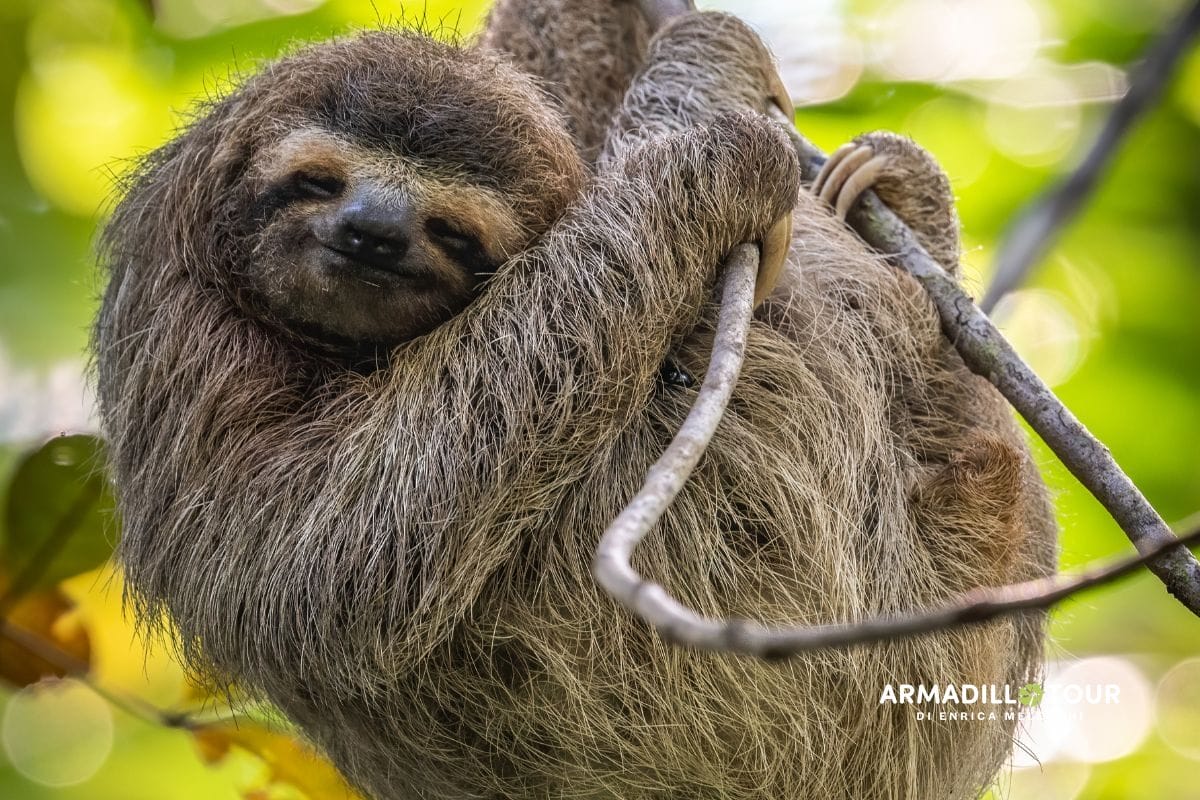Costa Rica: Pura Vida tra vulcani e foreste nebulose