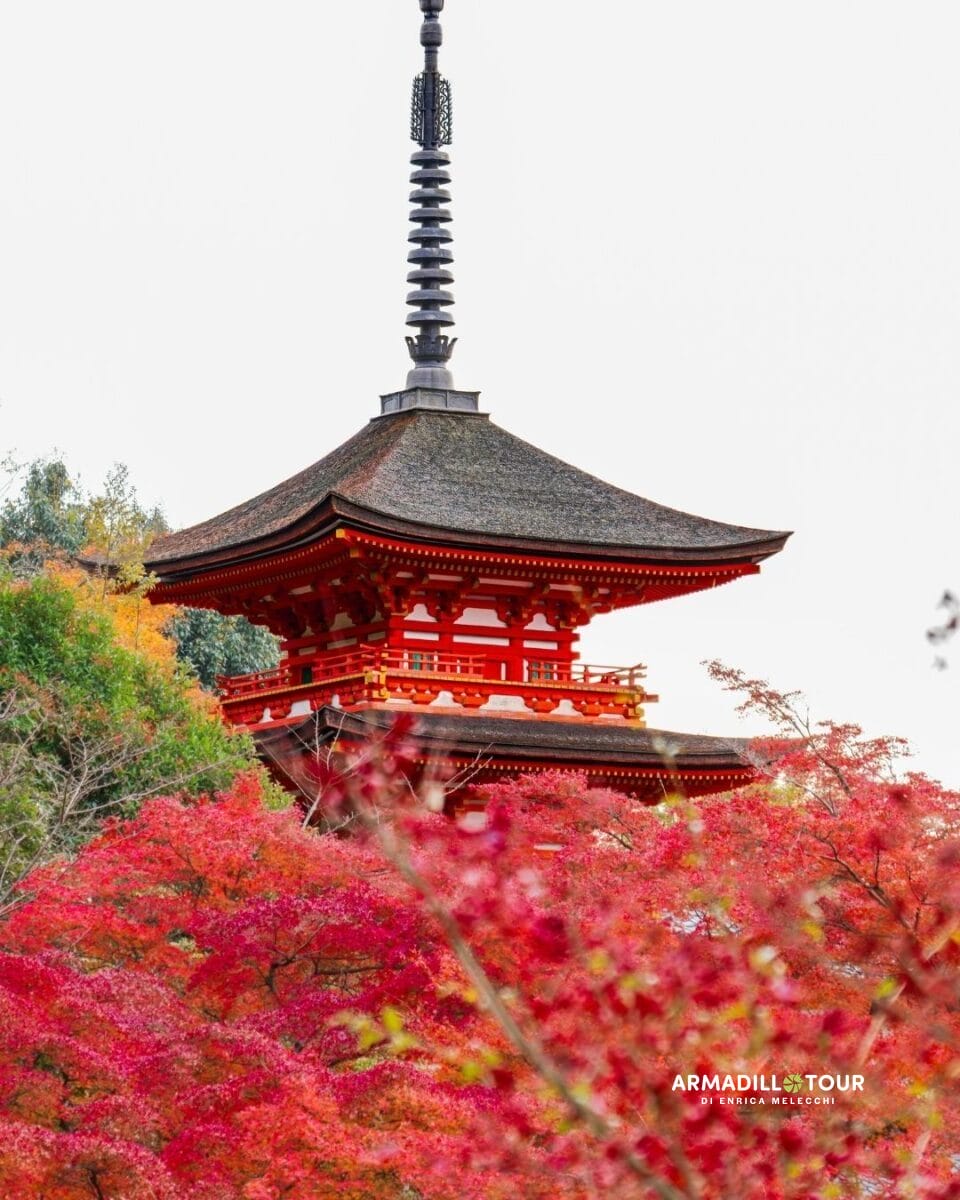 Giappone: Hiroshima, l’isola sacra di Miyajima fino alle città iconiche