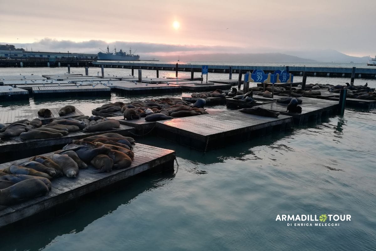 Usa: California on the road