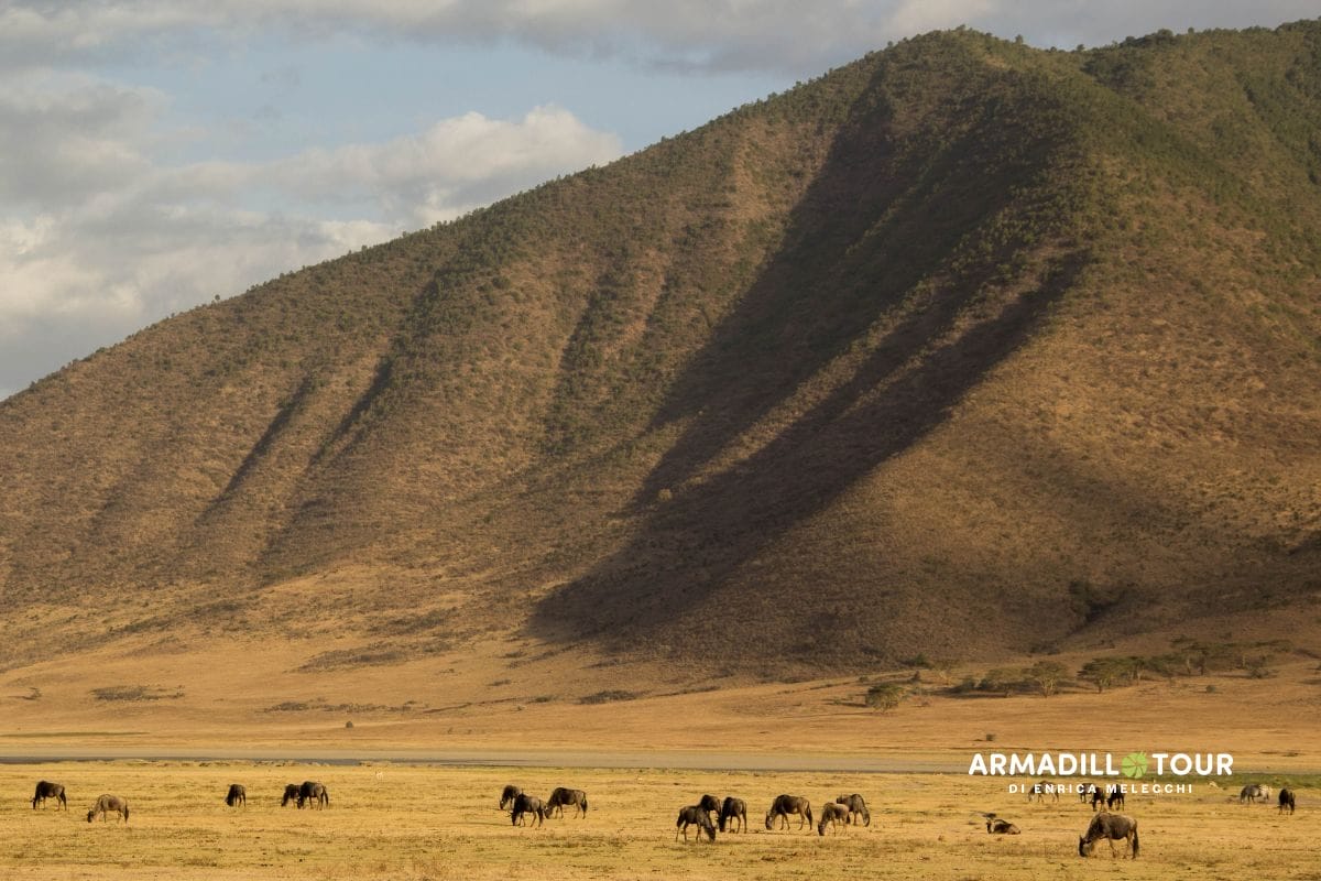 Il meglio della Tanzania