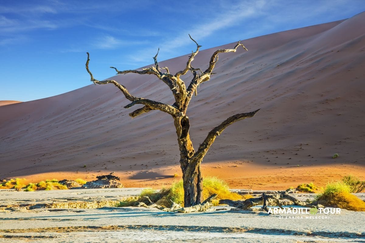 Il meglio della Namibia
