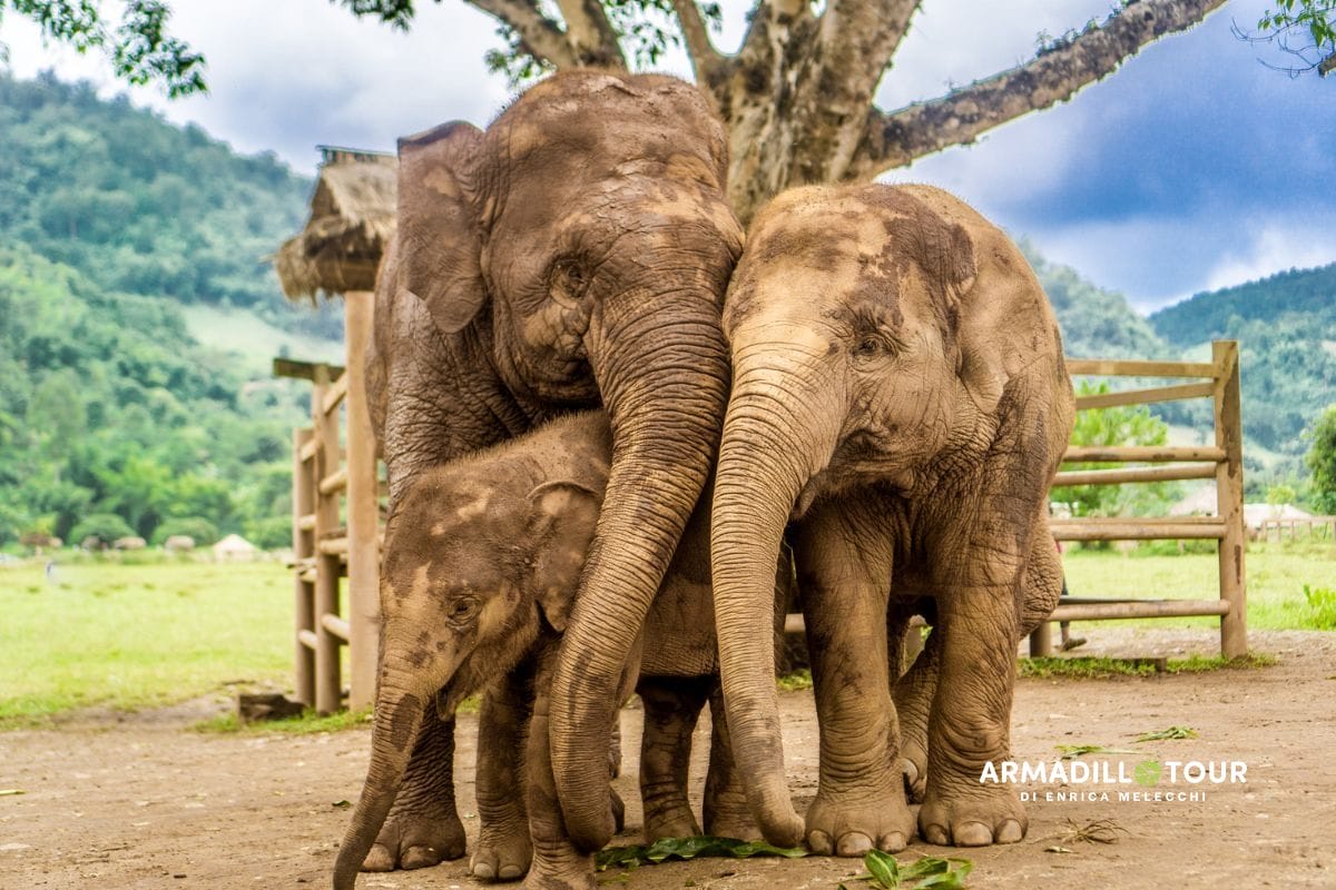 Thailandia: l’anima del Regno tra templi e silenzi del Nord