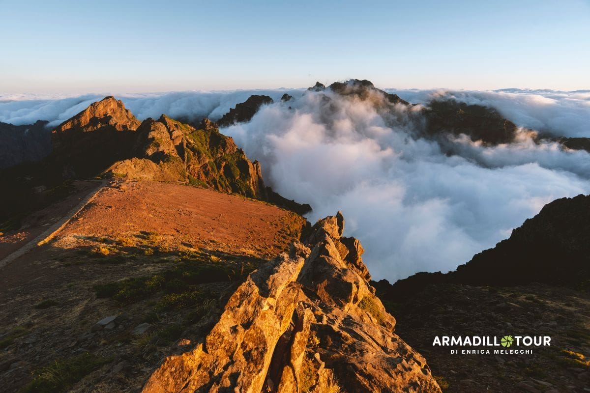 Madeira: i colori del giardino dell’Atlantico tra scogliere e fiori
