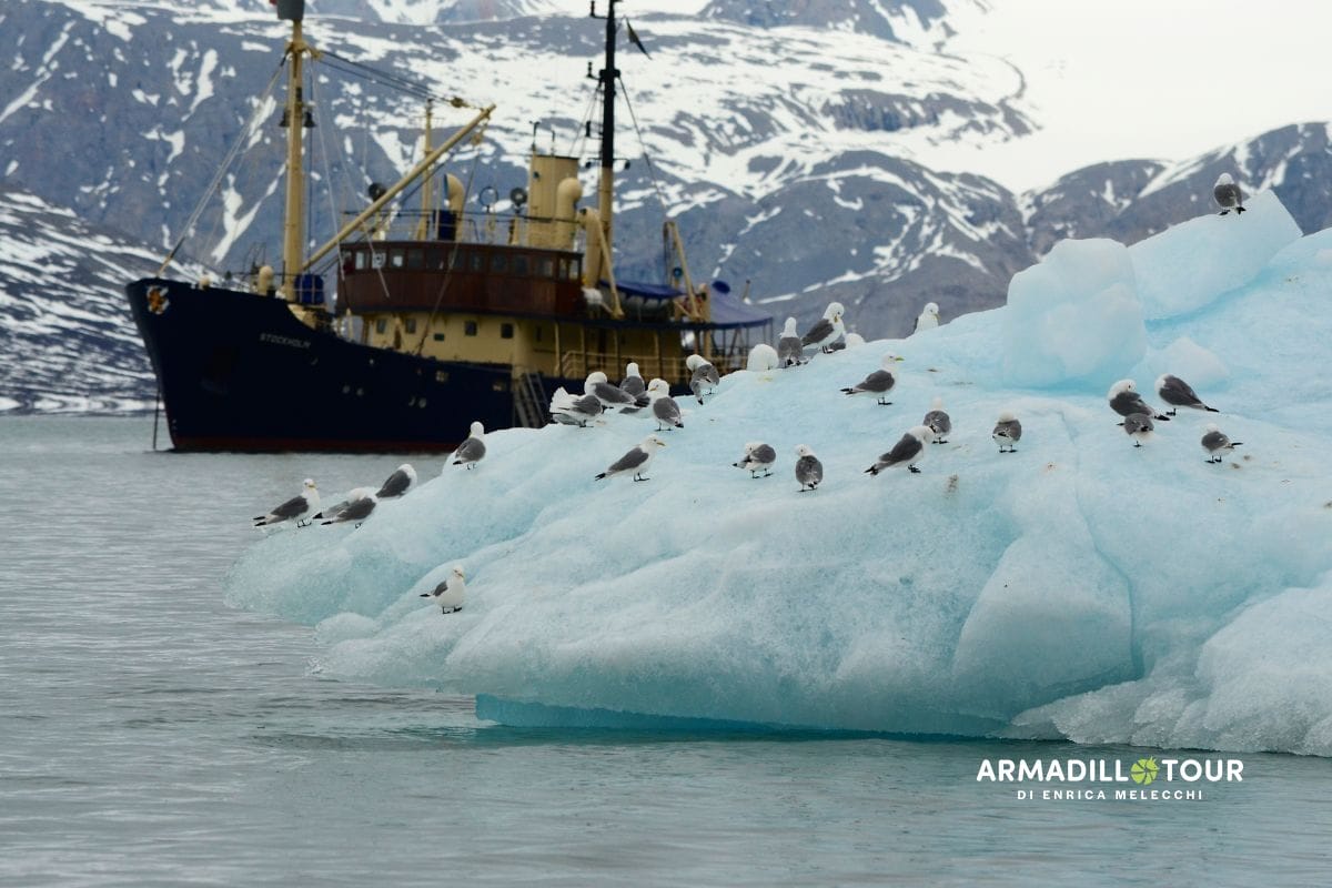 Svalbard: oltre l’ottantesimo parallelo